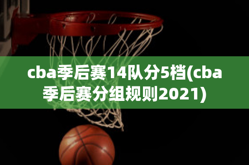 cba季后赛14队分5档(cba季后赛分组规则2021)