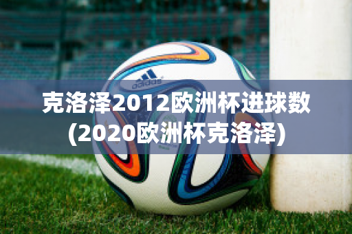 克洛泽2012欧洲杯进球数(2020欧洲杯克洛泽)