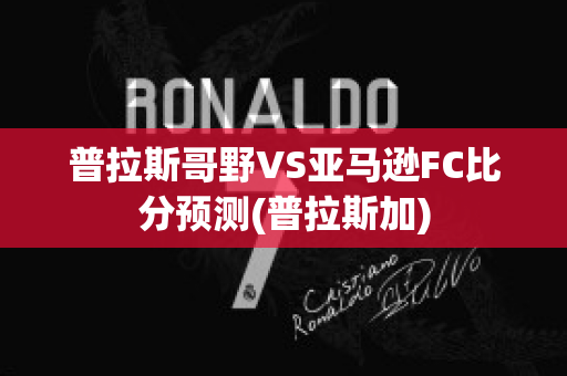 普拉斯哥野VS亚马逊FC比分预测(普拉斯加)