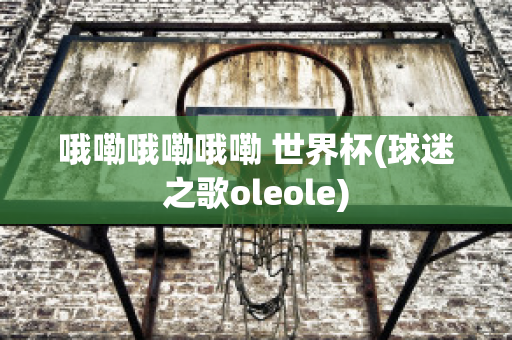 哦嘞哦嘞哦嘞 世界杯(球迷之歌oleole)