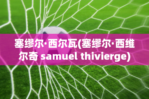 塞缪尔·西尔瓦(塞缪尔·西维尔奇 samuel thivierge)