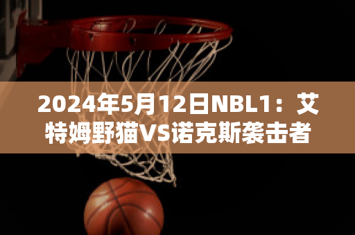 2024年5月12日NBL1：艾特姆野猫VS诺克斯袭击者球队数据