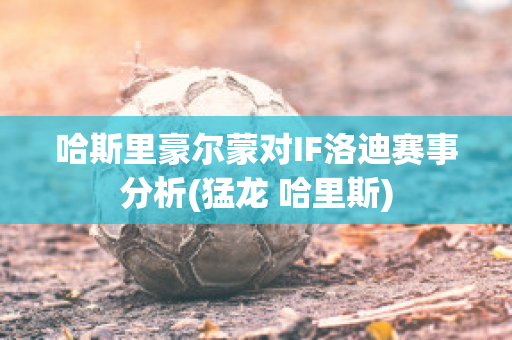 哈斯里豪尔蒙对IF洛迪赛事分析(猛龙 哈里斯)