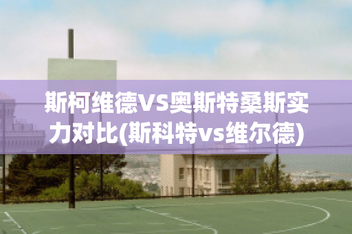 斯柯维德VS奥斯特桑斯实力对比(斯科特vs维尔德)