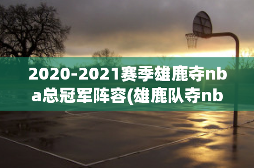 2020-2021赛季雄鹿夺nba总冠军阵容(雄鹿队夺nba总冠军)