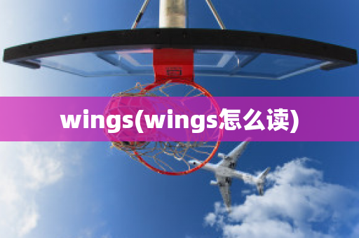 wings(wings怎么读)