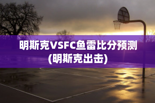 明斯克VSFC鱼雷比分预测(明斯克出击)