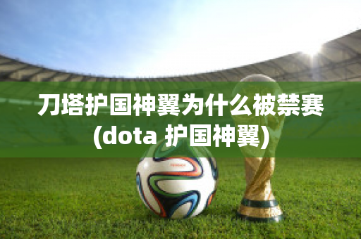 刀塔护国神翼为什么被禁赛(dota 护国神翼)