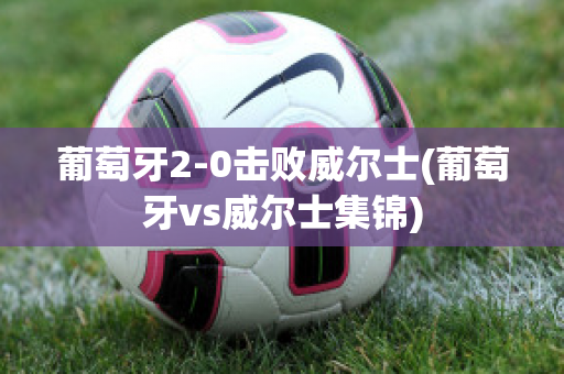 葡萄牙2-0击败威尔士(葡萄牙vs威尔士集锦)