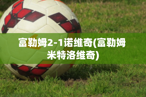 富勒姆2-1诺维奇(富勒姆 米特洛维奇)