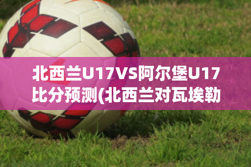 北西兰U17VS阿尔堡U17比分预测(北西兰对瓦埃勒)