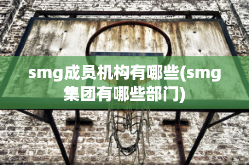 smg成员机构有哪些(smg集团有哪些部门)