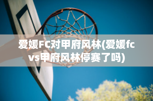 爱媛FC对甲府风林(爱媛fcvs甲府风林停赛了吗)