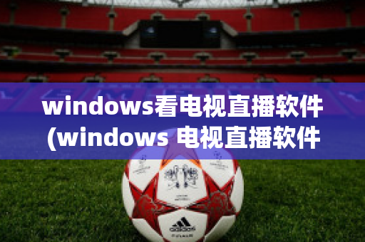 windows看电视直播软件(windows 电视直播软件)