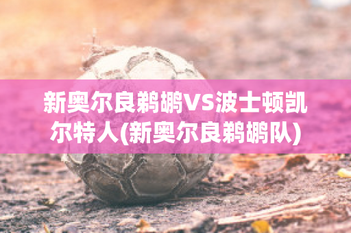 新奥尔良鹈鹕VS波士顿凯尔特人(新奥尔良鹈鹕队)