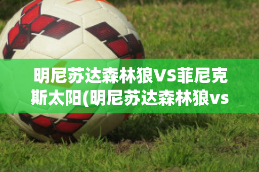 明尼苏达森林狼VS菲尼克斯太阳(明尼苏达森林狼vs洛杉矶湖人)