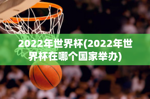 2022年世界杯(2022年世界杯在哪个国家举办)