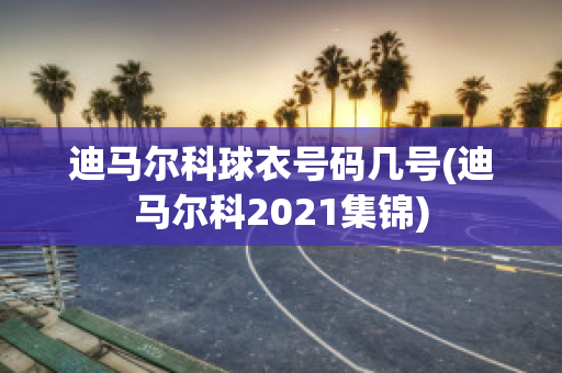 迪马尔科球衣号码几号(迪马尔科2021集锦)