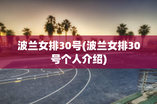 波兰女排30号(波兰女排30号个人介绍)