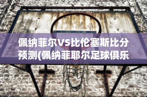 佩纳菲尔VS比伦塞斯比分预测(佩纳菲耶尔足球俱乐部)