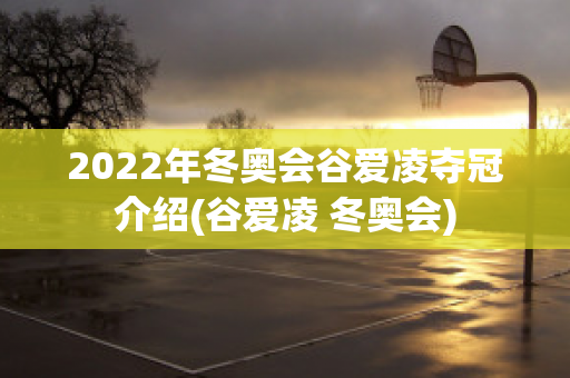 2022年冬奥会谷爱凌夺冠介绍(谷爱凌 冬奥会)