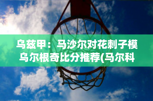 乌兹甲：马沙尔对花刺子模乌尔根奇比分推荐(马尔科萨乌)